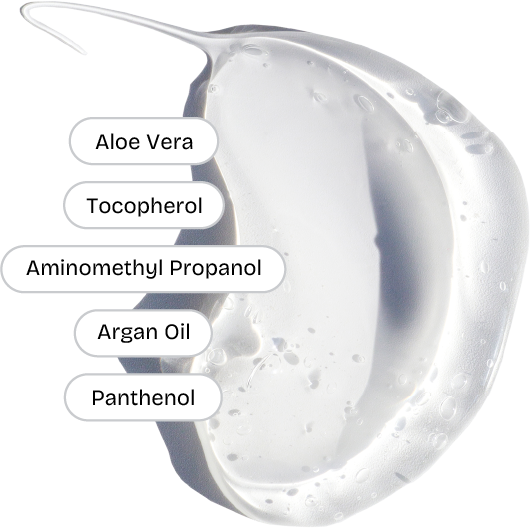Ingredients Explainer