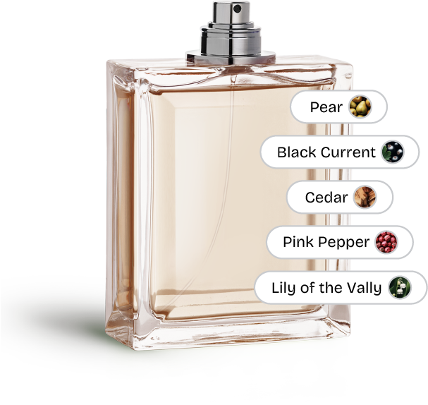 visualized fragrance